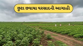 8 મેથી તાપમાન વધીને 42 ડિગ્રી થશે