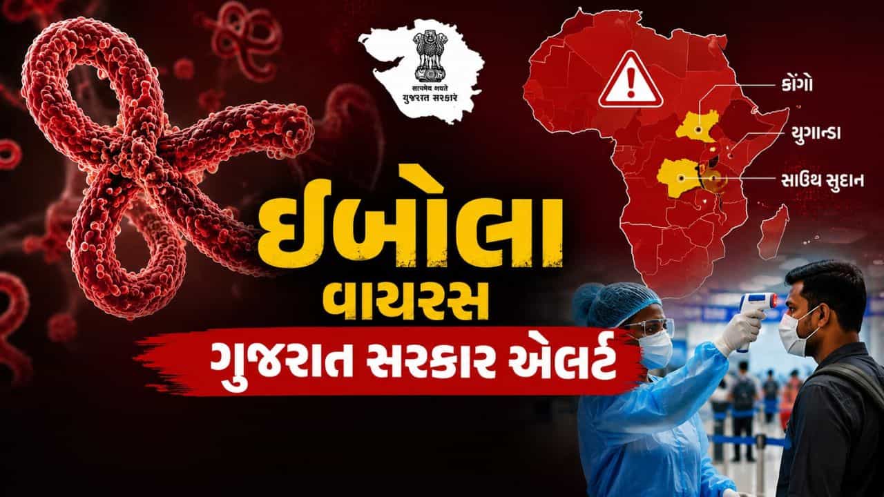 Breaking News : ઇબોલા વાયરસને લઈ ગુજરાત સરકાર એલર્ટ, હોસ્પિટલોમાં આઇસોલેશન વોર્ડ તૈયાર, એરપોર્ટ સ્ક્રીનિંગ શરૂ, જુઓ Video