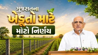 Breaking News : ગુજરાતના ખેડૂતો માટે સરકારનો મોટો નિર્ણય, ફેન્સિંગ સહાયમાં મોટો વધારો, જાણો વિગત