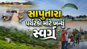 ગુજરાતનું એકમાત્ર હિલ સ્ટેશન સાપુતારા પર્યટકો માટે બન્યું સ્વર્ગ