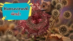 Hantavirusને લઈને ભારત સતર્ક, RT-PCRથી થશે ટેસ્ટિંગ