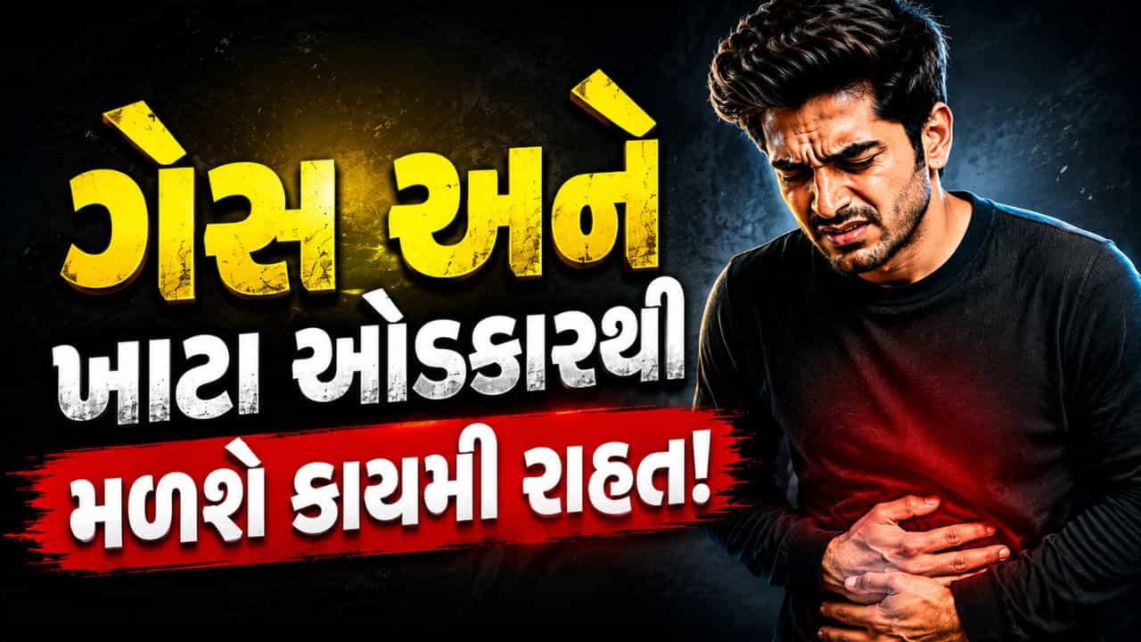 વારંવાર થાય છે એસિડિટી અને પેટમાં બળતરા? અપનાવી જુઓ આ 5 દેશી વસ્તુ, દવા વગર જ કાયમી રાહત મળશે