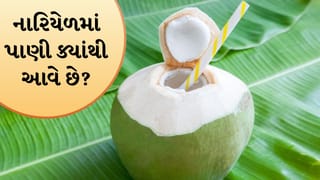 Knowledge: નારિયેળની અંદર પાણી આવે છે ક્યાંથી? જાણો પ્રકૃતિના આ અદ્ભુત ‘નેચરલ બાયો બોટલ’નું વિજ્ઞાન