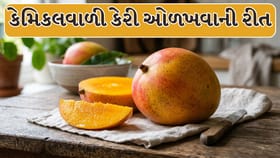 Mango : ઓર્ગેનિક અથવા કેમિકલથી પકવેલી કેરી કેવી રીતે ઓળખવી?