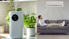 Humidifier શું છે ? તે કેવી રીતે કામ કરે છે? કેટલી હોય છે તેની કિંમત ?