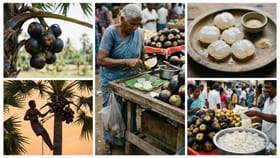 ઉનાળામાં શરીરને ઠંડક આપે છે તાડફળી, જુઓ ફોટો