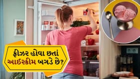 આઈસક્રીમ ફ્રીઝમાં રાખો છો છતાં બગડી જાય છે?