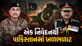 ભારતના સેના પ્રમુખના નિવેદનથી પાકિસ્તાનમાં ખળભળાટ