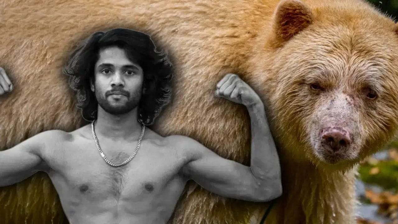 Breaking News: કેનેડામાં રીંછના હુમલામાં ભારતીય મૂળના ખેલાડીનું મોત, UFC ફાઈટર બનવાનું હતું સપનું