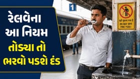 રેલવે સ્ટેશન બ્રશ કરવું પડશે ભારે, જાણી લો ટ્રેનમાં યાત્રાના નિયમો