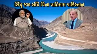 સિંધુ જળ સંધિ સ્થગિત થવાથી પાકિસ્તાનમાં ત્રાહિમામ, સર્જાયુ મોટુ જળ સંકટ, શાહબાઝ અને મુનીર સામે ખેતી બચાવવાનો મોટો પડકાર