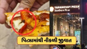 Breaking News : પિત્ઝાના શોખીનો સાવધાન! ગાંધીનગરના જાણીતા પિત્ઝા રેસ્ટોરેન્ટમાં પિત્ઝામાંથી નીકળી જીવાત, જુઓ Video
