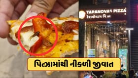 ગાંધીનગરના જાણીતા પિત્ઝા રેસ્ટોરેન્ટમાં પિત્ઝામાંથી નીકળી જીવાત