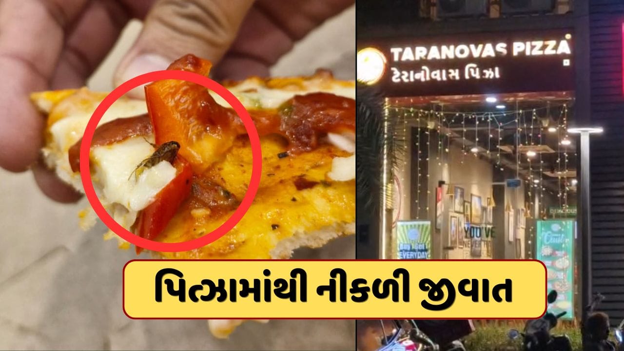 Breaking News : પિત્ઝાના શોખીનો સાવધાન! ગાંધીનગરના જાણીતા પિત્ઝા રેસ્ટોરેન્ટમાં પિત્ઝામાંથી નીકળી જીવાત, જુઓ Video Breaking News : પિત્ઝાના શોખીનો સાવધાન! ગાંધીનગરના જાણીતા પિત્ઝા રેસ્ટોરેન્ટમાં પિત્ઝામાંથી નીકળી જીવાત, જુઓ Video