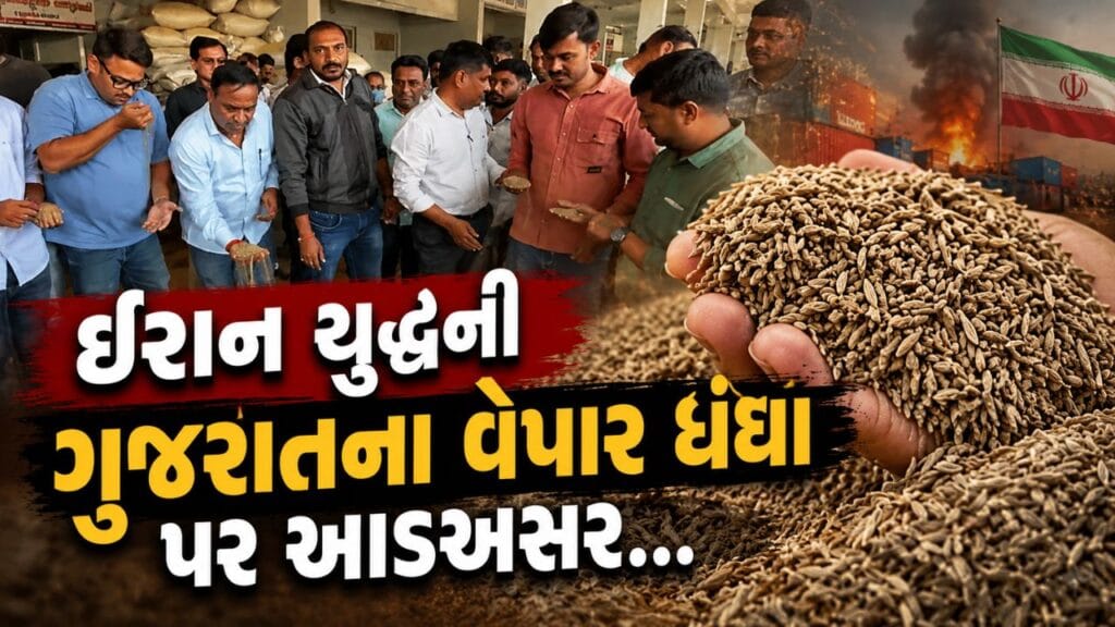 Iran Conflict Halts Exports, Affecting Gujarat FarmersUnjha Cumin Price Plunges