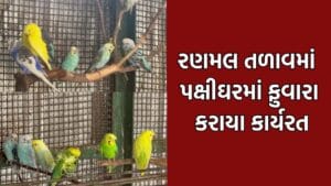 જામનગરના રણમલ લેકમાં પક્ષીઘરમાં પાણીના ફુવારા કાર્યરત કરાયા, પક્ષીઓને ગરમીથી બચાવવા ખાસ વ્યવસ્થા