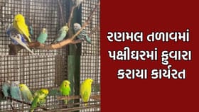 જામનગરના રણમલ લેકમાં પક્ષીઘરમાં પાણીના ફુવારા કાર્યરત કરાયા