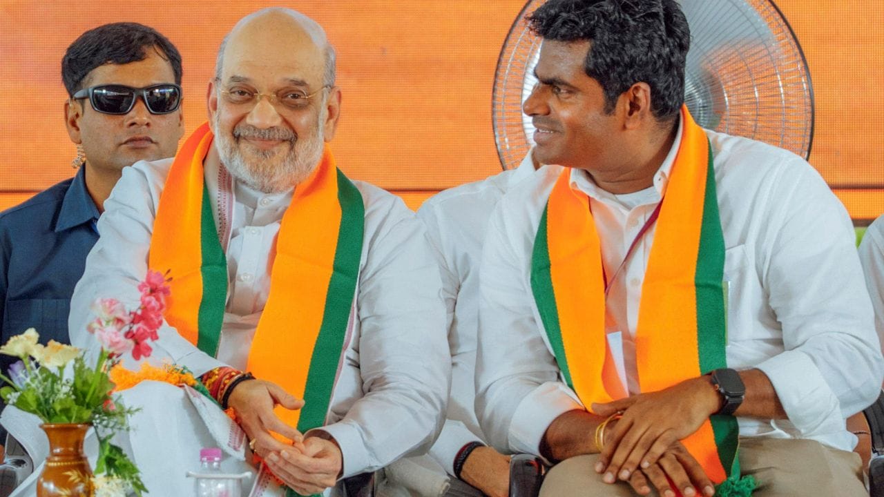 અન્નામલાઈ કર્ણાટક કેડર હેઠળ 2011 બેચમાં ભારતીય પોલીસ સેવા (IPS)માં જોડાયા. તેમની પોલીસ કારકિર્દી દરમિયાન, તેમણે ઉડુપી અને ચિકમંગલુર જિલ્લામાં પોલીસ અધિક્ષક તરીકે સેવા આપી હતી, અને બાદમાં તેમને બેંગલુરુના ડેપ્યુટી કમિશનર ઓફ પોલીસ (દક્ષિણ) તરીકે પોસ્ટ કરવામાં આવ્યા હતા.