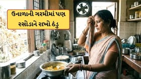 ઉનાળામાં રસોડું બની જાય છે ભઠ્ઠી જેવું ગરમ? તો કરો બસ આ નાનો ફેરફાર