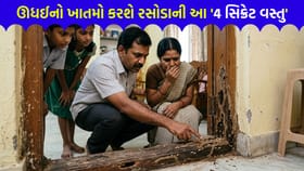 ઊધઈના ત્રાસમાંથી કાયમી રાહત અપાવશે ઘરમાં રાખેલી આ '4 વસ્તુ'