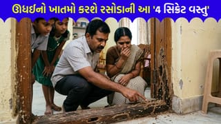 મોંઘી દવાઓ લાવવાની જરૂર નથી ! ઊધઈને જડમૂળથી ખતમ કરવા અપનાવો આ ‘4 આસાન ઘરેલું ટિપ્સ’