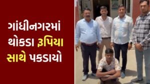 વાહન ચેકિંગ દરમિયાન ₹31.8 લાખ રોકડ અને સોના સાથે શખ્સ ઝડપાયો