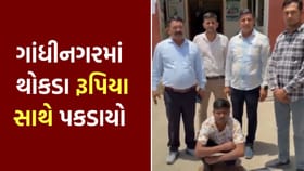 વાહન ચેકિંગ દરમિયાન ₹31.8 લાખ રોકડ અને સોના સાથે શખ્સ ઝડપાયો