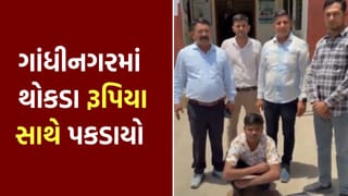 ગાંધીનગરમાં વાહન ચેકિંગ દરમિયાન ₹31.8 લાખ રોકડ અને સોના સાથે શખ્સ ઝડપાયો, તપાસમાં ચોંકાવનારો ખુલાસો, જુઓ Video
