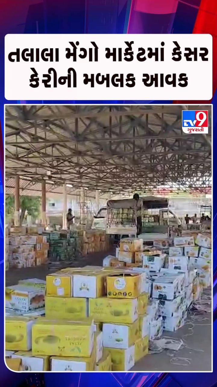 હરાજીના 38 દિવસમાં 5 લાખથી વધુ કેસર કેરીના બોક્સની આવક