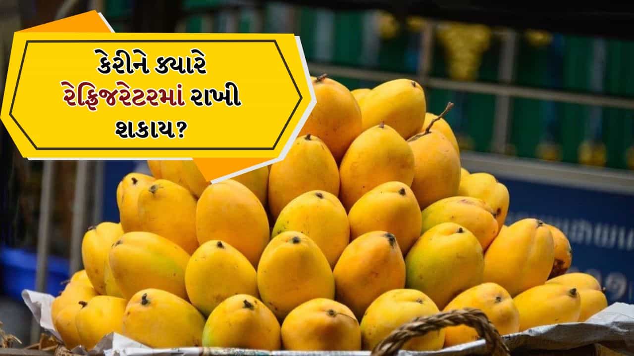 Mango Storage Tips: શું કેરીને રેફ્રિજરેટરમાં રાખવી જોઈએ? તેમને સ્ટોર કરવાની બેસ્ટ રીત જાણો