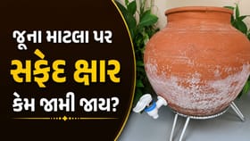 જૂના માટલા પર સફેદ ક્ષાર કેમ જામી જાય છે? જાણો તેને હટાવાની રીત