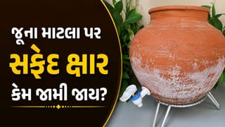 Matka Maintenance : જૂના માટલા પર સફેદ ક્ષાર કેમ જામી જાય છે? જાણો તેને હટાવવાની રીત