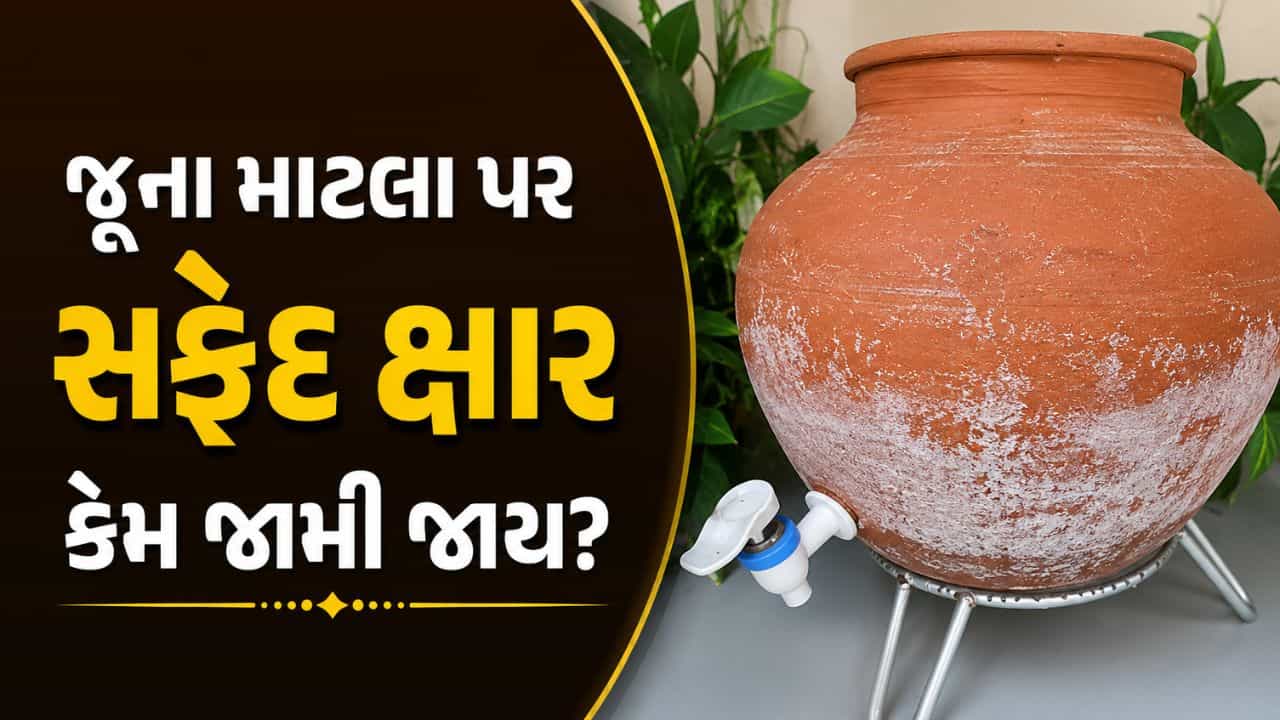 Matka Maintenance : જૂના માટલા પર સફેદ ક્ષાર કેમ જામી જાય છે? જાણો તેને હટાવવાની રીત