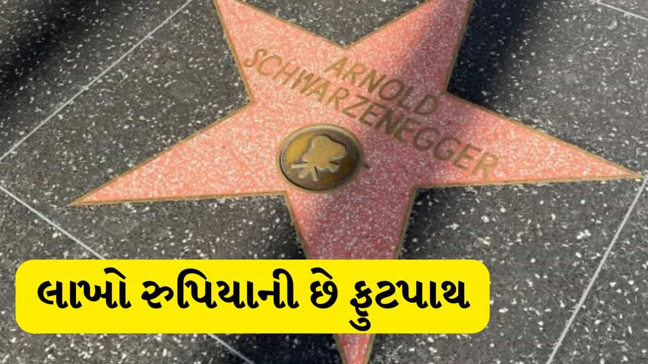 Miley Cyrus : માઈલી સાયરસ હવે હોલીવુડમાં અમર ! હોલીવુડ વોક ઓફ ફેમ શું છે?, દિપિકા પાદુકોણનું પણ નામ છે સામેલ