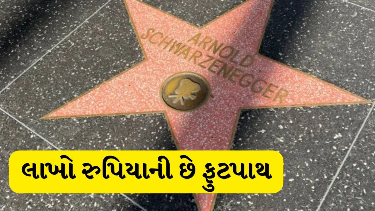 Miley Cyrus : માઈલી સાયરસ હવે હોલીવુડમાં અમર ! 'હોલીવુડ વોક ઓફ ફેમ' શું છે?, દિપિકા પાદુકોણનું પણ નામ છે સામેલ