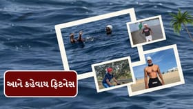 60 વર્ષના અભિનેતાએ યુરોપથી આફ્રિકા સુધી ખતરનાક સ્વીમિંગ કર્યું, Video