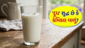 તમે જે 'દૂધ' પીઓ છો, તે અસલી છે કે નકલી? આ રીતે કરો 'ચેક'