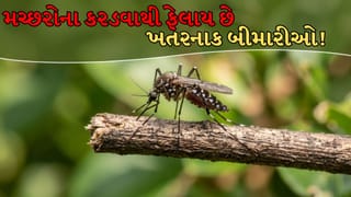Mosquito Bites Diseases: મચ્છરોના કરડવાથી ફેલાય છે આ 5 ખતરનાક બીમારીઓ!