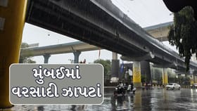 થાણેઅને નવી મુંબઈમાં વરસાદની શરૂઆત, મંગળવારે મુંબઈમાં યેલો એલર્ટ!