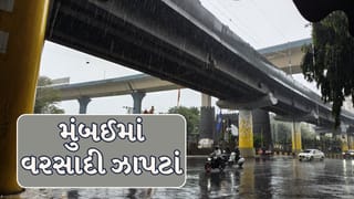 Maharashtra Breaking News : થાણે અને નવી મુંબઈમાં વરસાદની શરૂઆત, મંગળવારે મુંબઈમાં યેલો એલર્ટ!