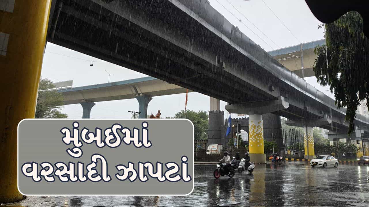 Maharashtra Breaking News : થાણે અને નવી મુંબઈમાં વરસાદની શરૂઆત, મંગળવારે મુંબઈમાં યેલો એલર્ટ!