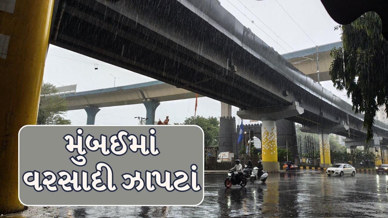 Maharashtra Breaking News : થાણે અને નવી મુંબઈમાં વરસાદની શરૂઆત, મંગળવારે મુંબઈમાં યેલો એલર્ટ!