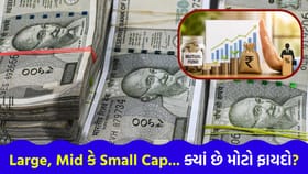 Large Cap, Mid Cap કે Small Cap? આખરે ક્યાં રોકાણ કરવું જોઈએ?