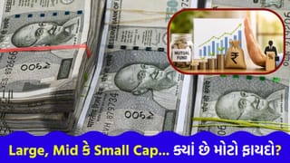 Large Cap, Mid Cap કે Small Cap? લાંબાગાળે બમ્પર કમાણી કરવા માટે કયો ઓપ્શન છે ‘સૌથી બેસ્ટ’?