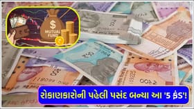 માર્કેટના દરેક ઉતાર-ચઢાવમાં અડીખમ રહ્યા આ '5 મ્યુચ્યુઅલ ફંડ'