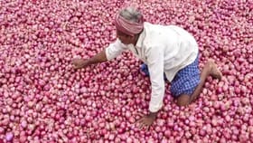 Breaking New હવે ₹12.35 પ્રતિ કિલોના દરે ડુંગળીની ખરીદી શરૂ કરશે NAFED