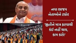 નીતિન પટેલે નવા ચૂંટાયેલા નેતાઓેને કરી ટકોર, માત્ર જીતીને ખિસ્સામાં હાથ નાખીને ફરવાથી નહીં ચાલે- Video