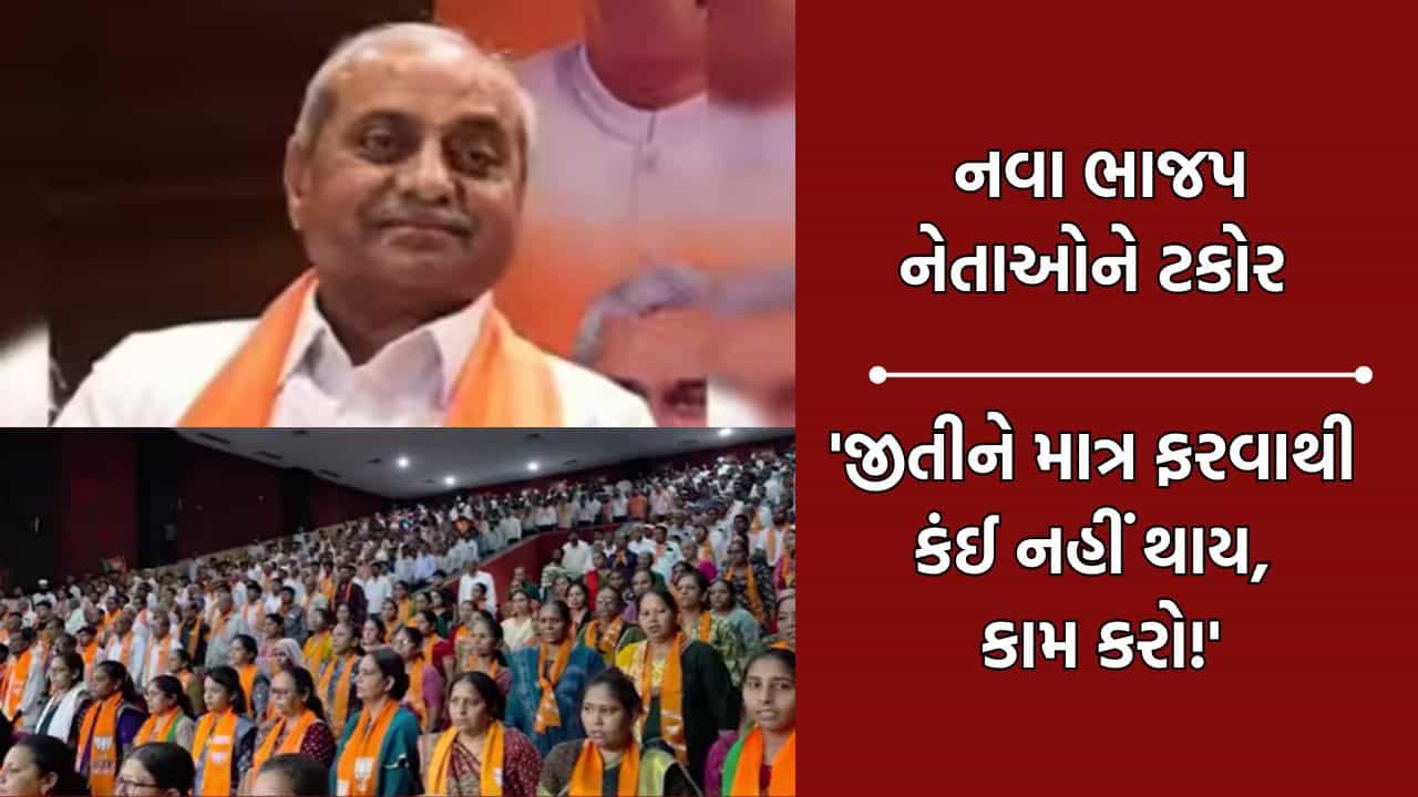 નીતિન પટેલે નવા ચૂંટાયેલા નેતાઓેને કરી ટકોર, માત્ર જીતીને ખિસ્સામાં હાથ નાખીને ફરવાથી નહીં ચાલે- Video