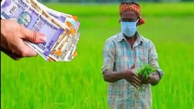PM Kisan: તમારા બેંક ખાતામાં ₹2000 ક્યારે આવશે?