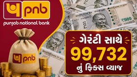 PNB ની FD માં ગેરંટી સાથે મેળવો 99,732 નું ફિક્સ વ્યાજ